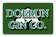 doerungin.com