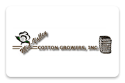 midvalleycottongrowers.com