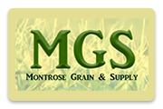 montrosegrain.com